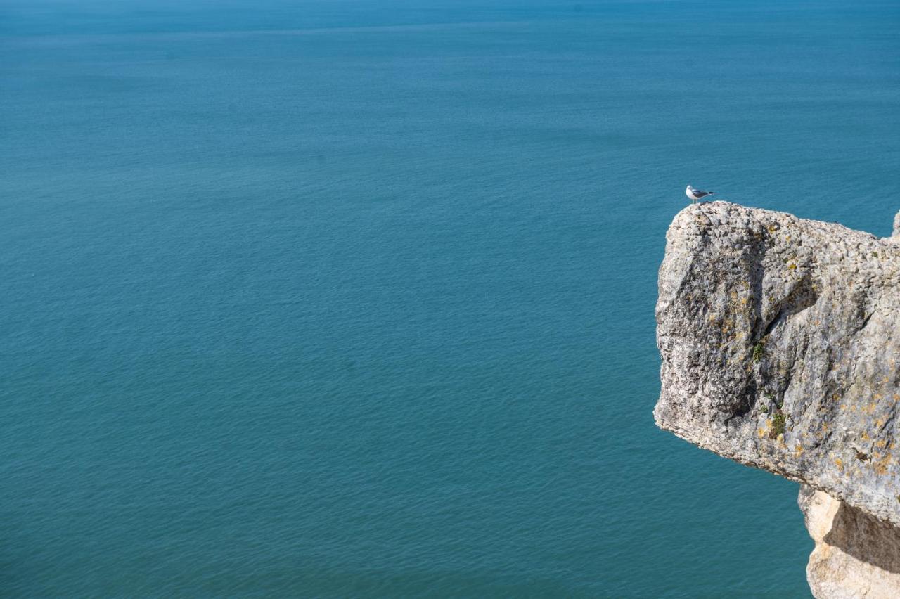 Bayview Nazare A Sua Casa A Beira Mar - 20 Mt Da Praia E Da Famosa Bola Nivea エクステリア 写真